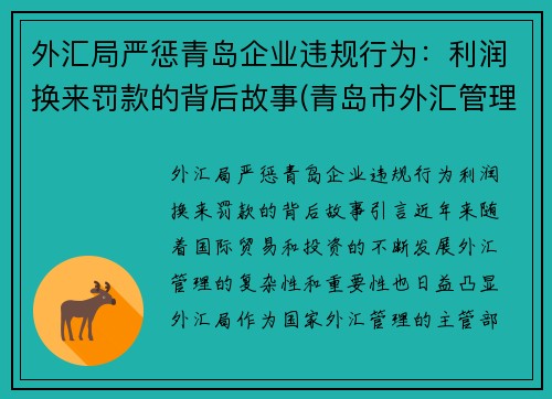 外汇局严惩青岛企业违规行为：利润换来罚款的背后故事(青岛市外汇管理局网站)