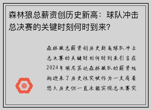 森林狼总薪资创历史新高：球队冲击总决赛的关键时刻何时到来？